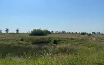 Auction image Farmland