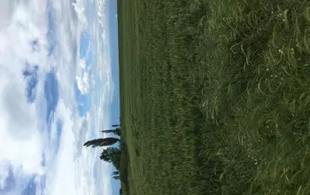 Auction image Farmland
