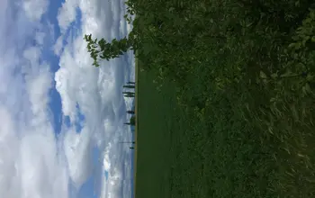 Auction image Farmland