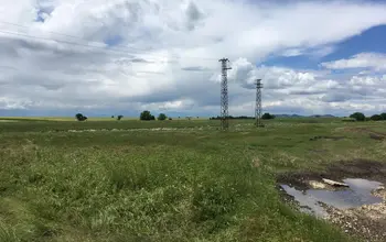 Auction image Farmland
