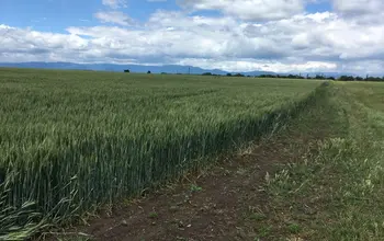 Auction image Farmland