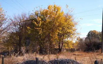 Auction image Други