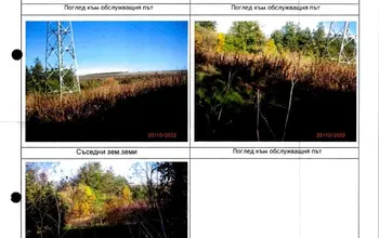 Auction image Woodland
