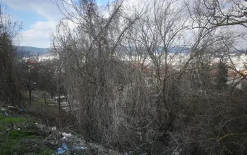 Auction image Парцел (ПИ, УПИ, двор)