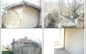Auction image House