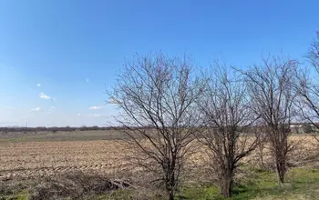 Auction image Farmland