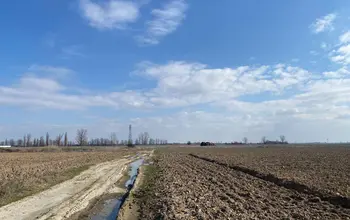 Auction image Farmland