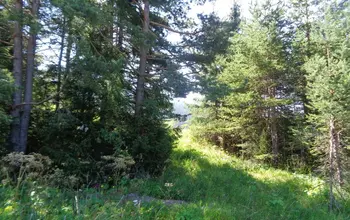 Auction image Парцел (ПИ, УПИ, двор)