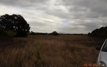 Auction image Farmland
