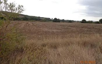 Auction image Farmland