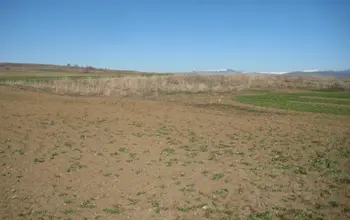 Auction image Land for building