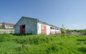 Auction image Земеделска земя/имот, ферма, парник/оранжерия