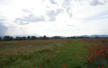 Auction image Farmland