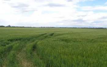 Auction image Farmland
