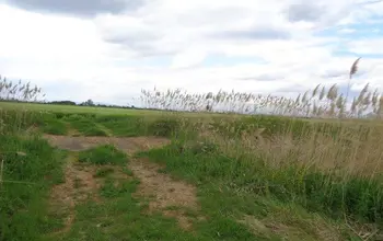 Auction image Farmland