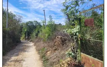 Auction image Land for building