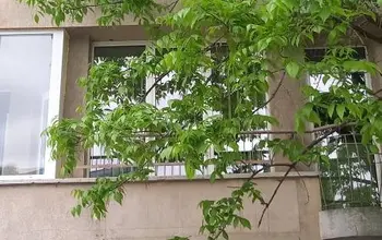 Auction image Многостаен апартамент, мезонет