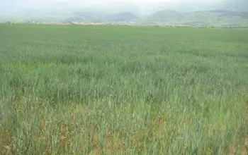 Auction image Farmland