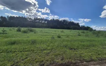 Auction image Farmland