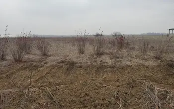 Auction image Farmland