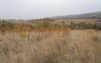 Auction image Land for building