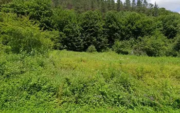Auction image Farmland