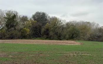 Auction image Farmland