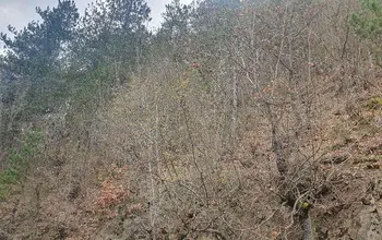 Auction image Land for building