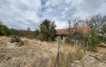 Auction image House