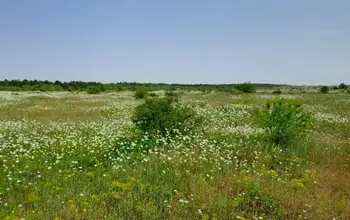 Auction image Land for building