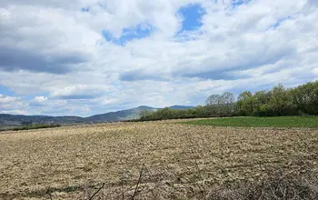 Auction image Farmland