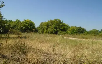 Auction image Farmland
