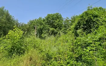 Auction image Land for building