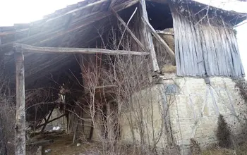 Auction image House