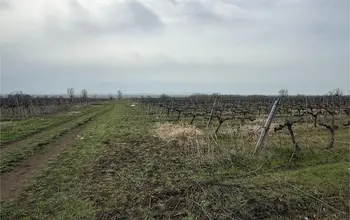 Auction image Farmland
