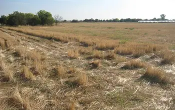 Auction image Farmland