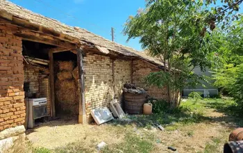 Auction image House