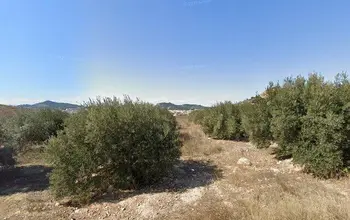 Auction image Rural property