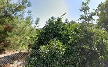 Auction image Residential